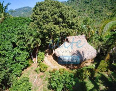 Paradisiacal cabin for groups in Santa Marta