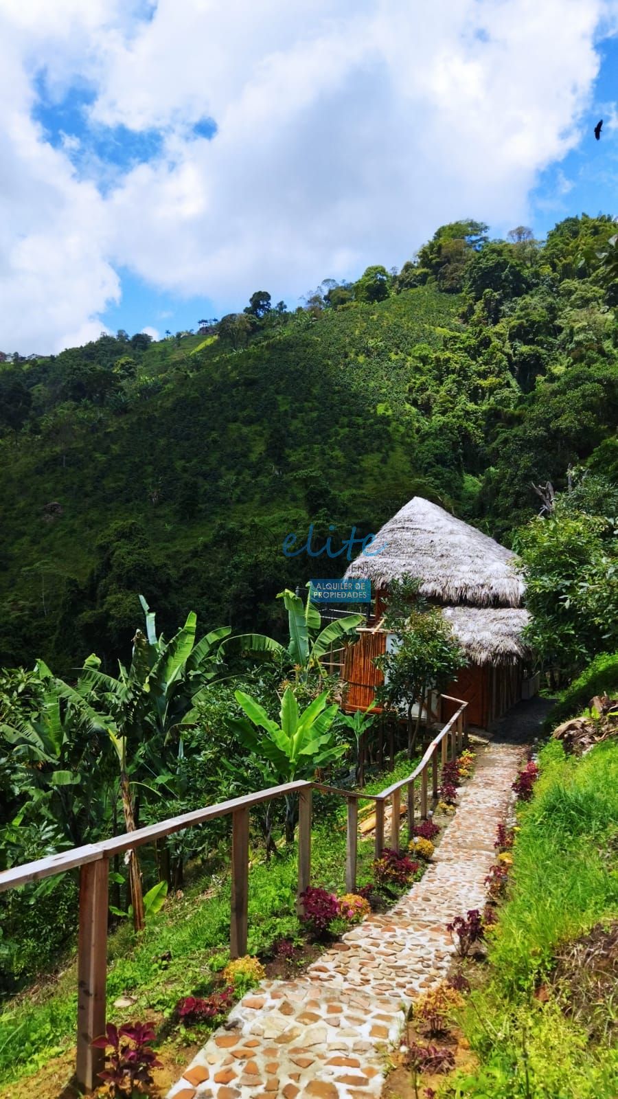 Glamping en Manizales Elite Apartments Colombia